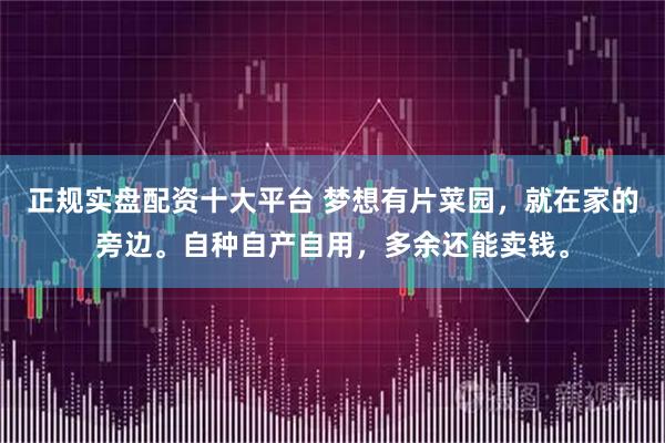 正规实盘配资十大平台 梦想有片菜园，就在家的旁边。自种自产自用，多余还能卖钱。