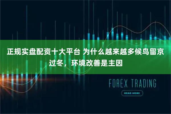 正规实盘配资十大平台 为什么越来越多候鸟留京过冬，环境改善是主因